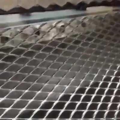 Stamping sheet metal into mesh