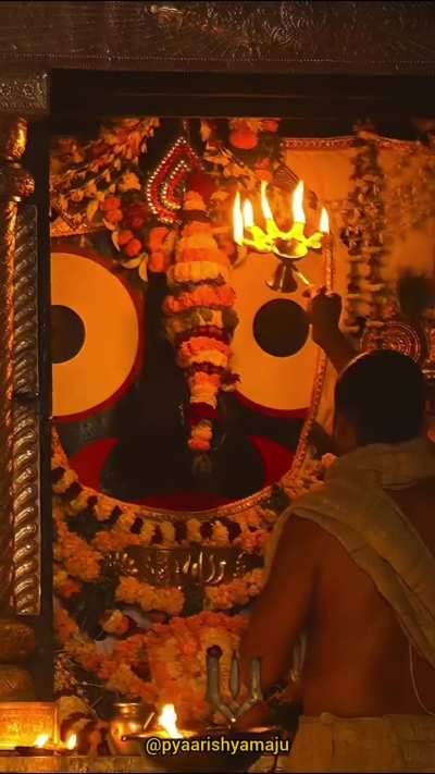 Hai Jagannath Mere Nath 🙌