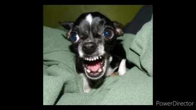 This song kinda slaps ngl