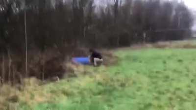 They are trying to make something different