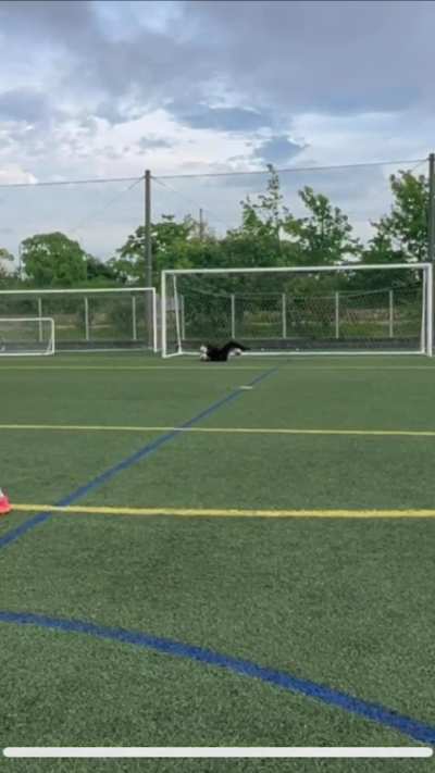 Retired no longer play what’s next