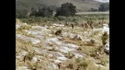 West Papua Tribal War 1963