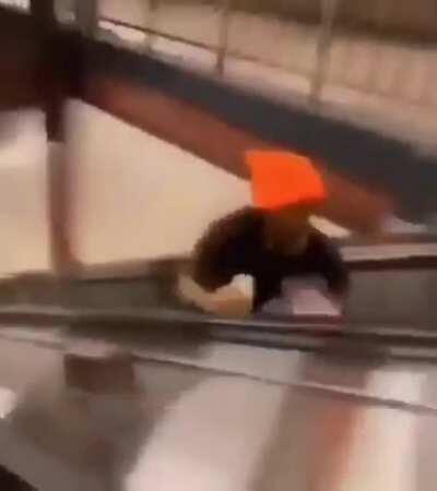 Woodszin - Video #8992