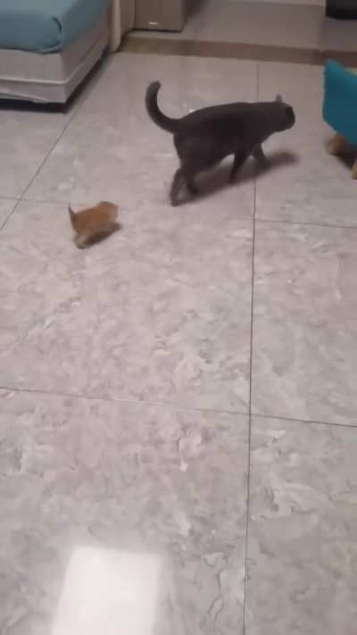 ubsubxeubxyvg xv|wxwhoejx hwbykqxubexhb😇😇😇