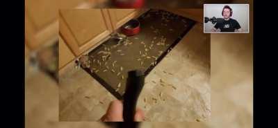 Who doesn’t love an out of context clip