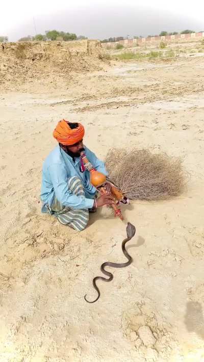 Oq aconteceu com o Redinho?