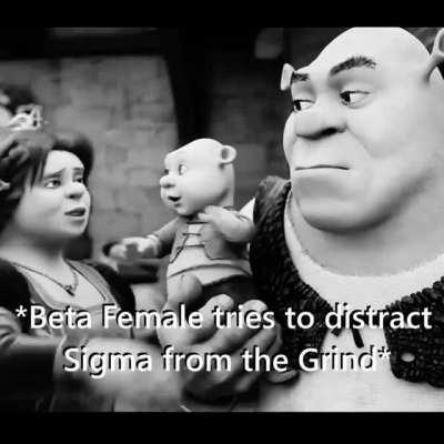 Sigma Grindshrek #ShrillionaireGrindset