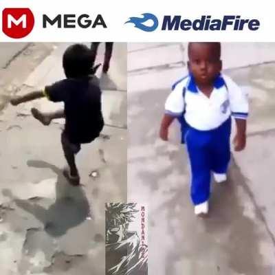 Viva MediaFire, Mega es un pendejo.