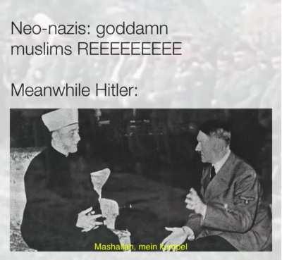 Finding out Hitler really liked Islam was quite the ”huh” moment for me 