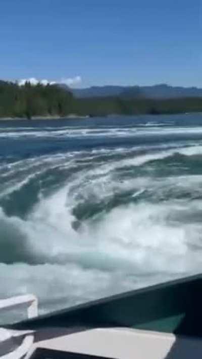 WHAT MY NIGHTMARES LOOK LIKE