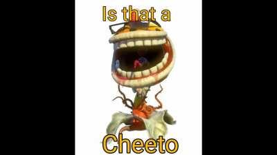 Cheeto