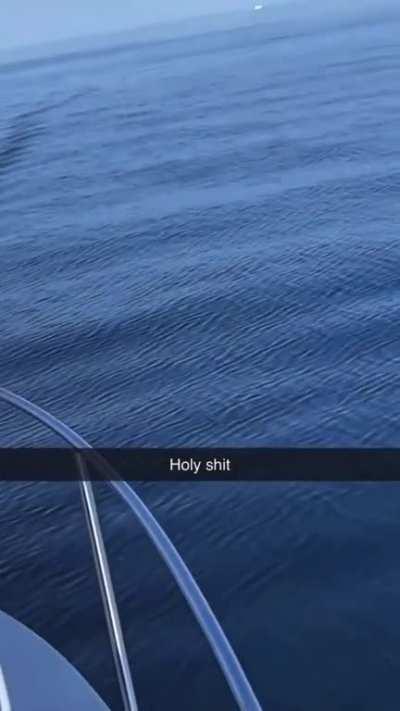 You gonna need a bigger boat