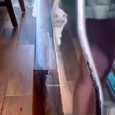 This is the new walk style? OK.