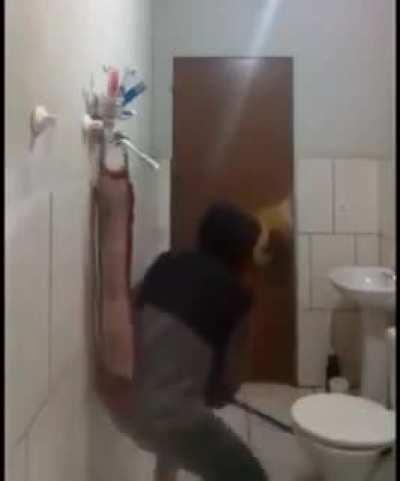 Alpha Rat, Guardian of restroom, Destroyer of house