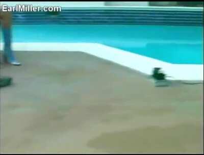 Jenna Jameson's little accidently cut bush