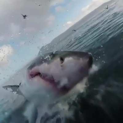 Above and below water