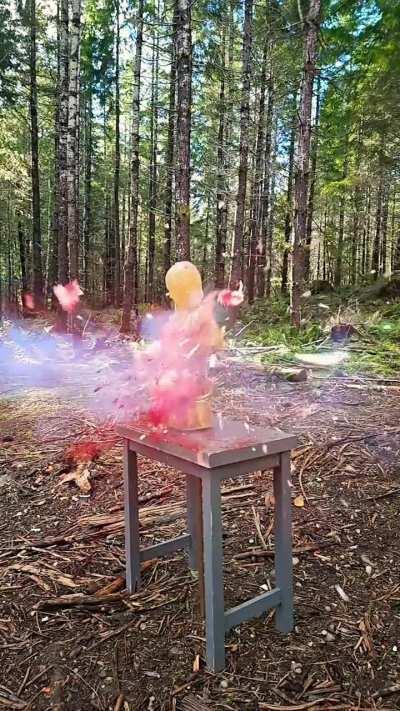 Early Explosion - Brynn Woods