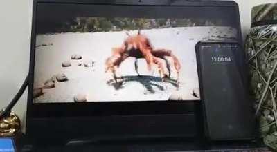 Nothing better than starting the year with this