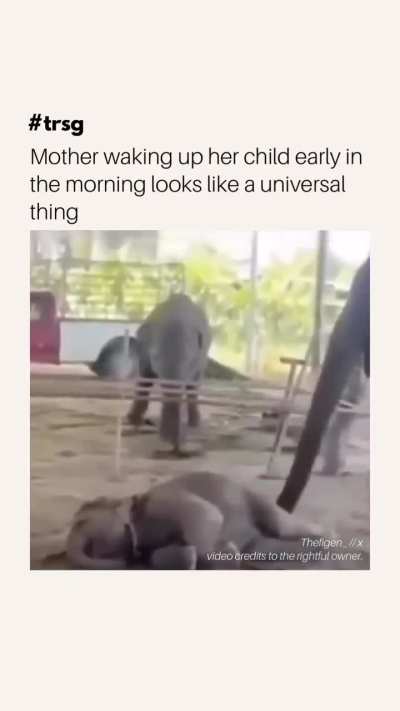 Just five more minutes, Mom 🥰