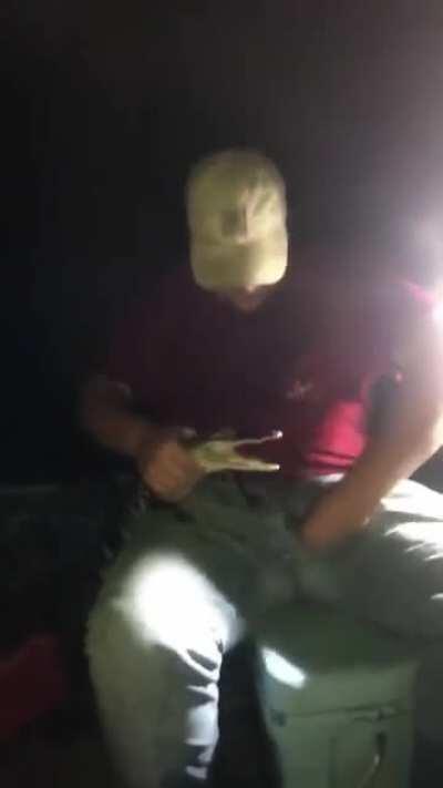 What could go wrong let alligator play with your ball