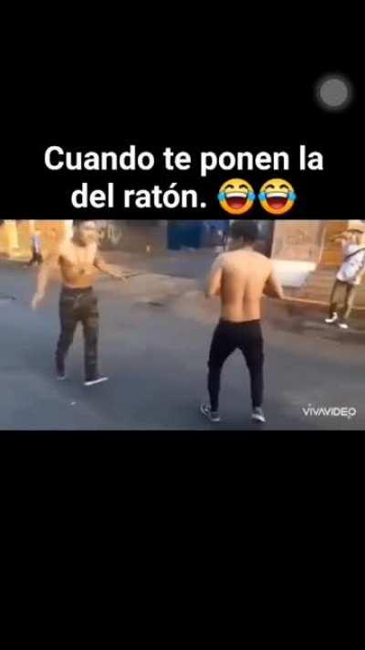 What the heck is this house, For a manly cowboy mouse