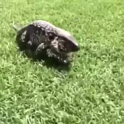 Please turn on audio