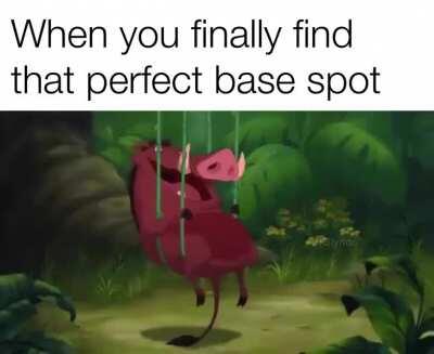 Timon and Pumbaa vs Theri