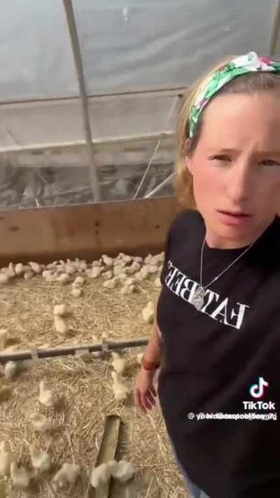 Who’s chicken now?