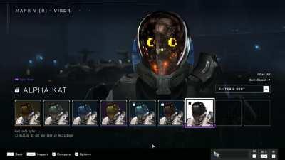 Animated visors that you can unlock via gameplay... That would be cool, here's my take on it: