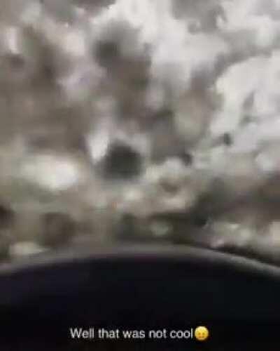 Imagine if this happened on a highway