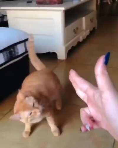 And the Oscar goes to...