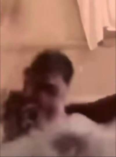 A Wordington attempt