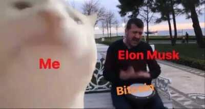 Welcome, Elon.