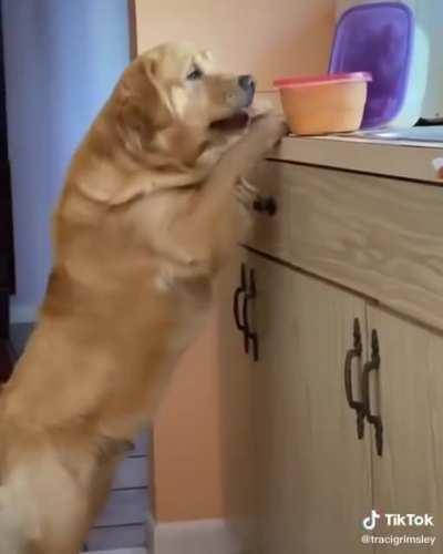 Thought it was about to get messy.... ended up wholesome :)