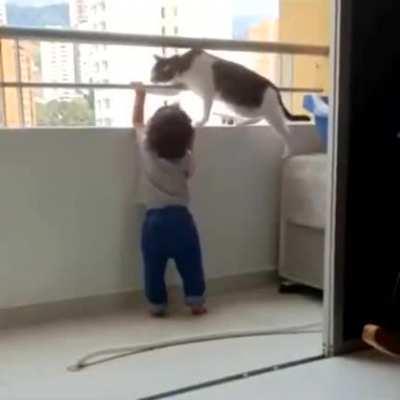 Cat protecting child from the ledge