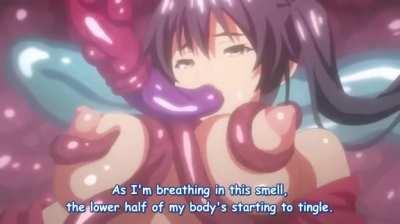 Tenta inside stocking