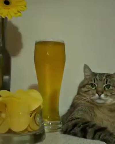 Как прошли мои выходные...