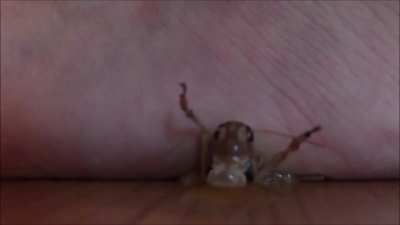 No better place to be than under a woman’s feet