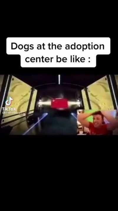 Bro Harry has no filter