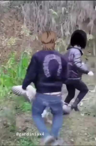 Eren taking back his dog