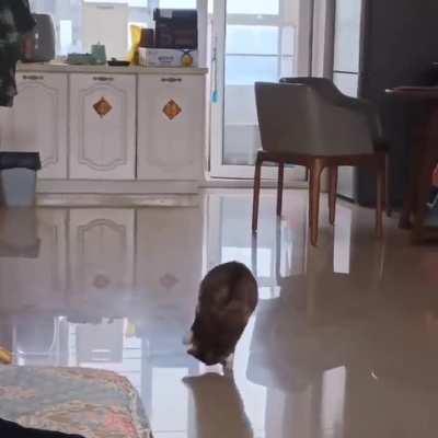 Artistic gymnastics performance