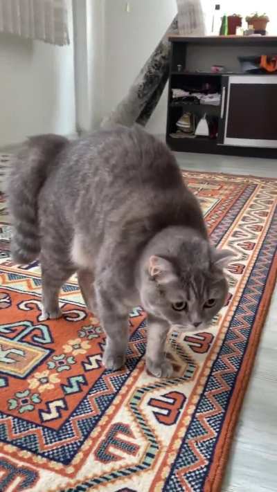 Sometimes she acts scared idk why