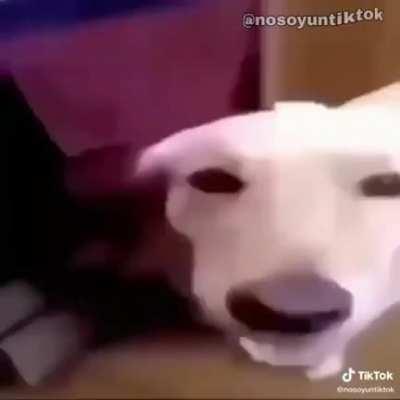 ⊖ ∙ ⋀ ⊗ √ ⋁ ⊘ ∛ ⋂ ⊙ ∜ ⋃ ⊚ ∝ ⋄ ⊛ ∞ ⋅ ⊜ ∟ ⋆ ⊝ ∠ ⋇ ⊞ ∡ ⋈ ⊟ ∢ ⋉ ⊠ ∣ ⋊ ⊡ ∤ ⋋ ⊢ ∥ ⋌ ⊣ ∦ ⋍ ⊤ ∧ ⋎