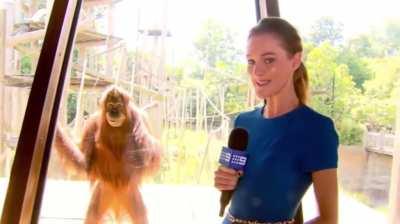 This the most evil mf on the planet idc what anybody says