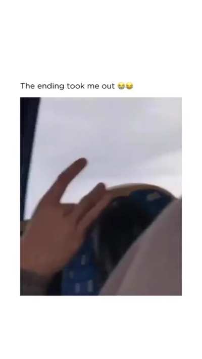 A stowaway cockroach could have caused the accident