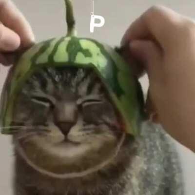 Attempt #2 (don't need awards just want Pewds to see it)