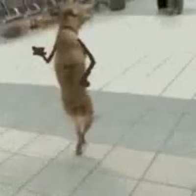 24 hours until r/pan opens for broadcasting!