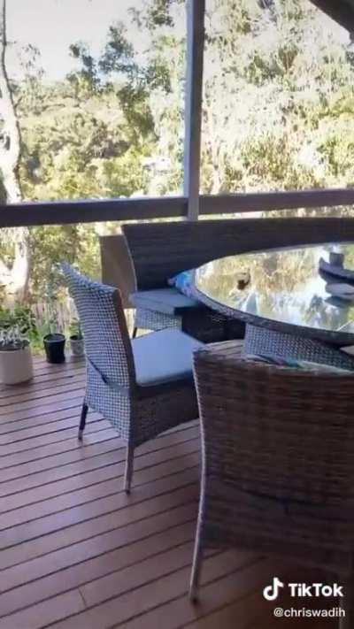 We still don't know if they like pasta