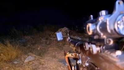 Every Schizo Needs a Gun