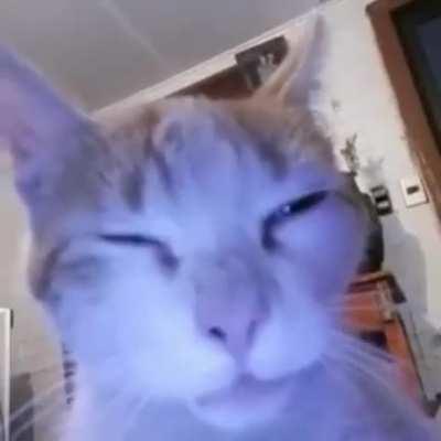 “Try harder next time”